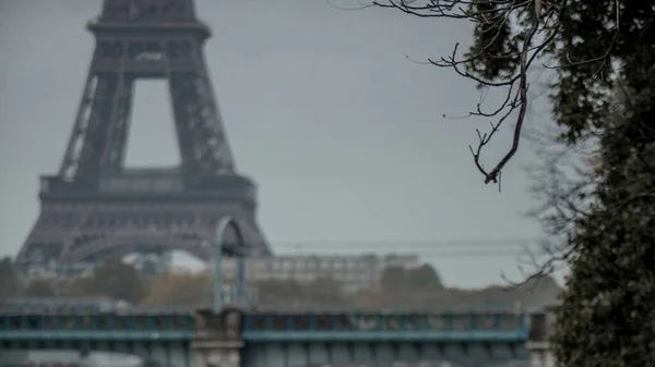 Hämärtynyt Tausta Eiffel Torni Taustalla Musta Kuori Oksat Puu Edessä — kuvapankkivalokuva