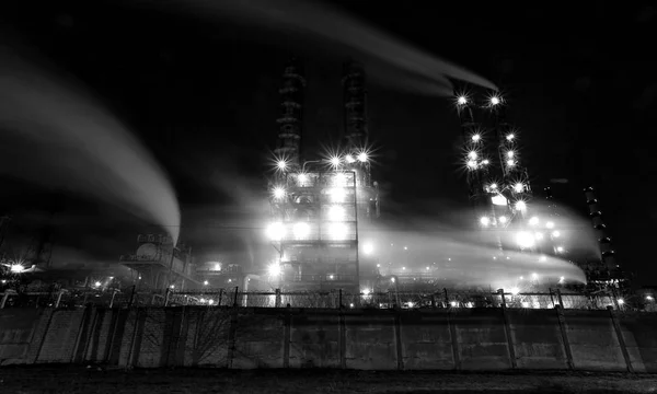 Planta Brilla Por Noche Blanco Negro Larga Exposición —  Fotos de Stock