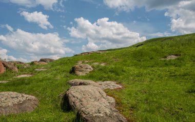 Güney Böcek Nehri 'nin kayalık kıyısı. Güneşli bir günde mavi gökyüzüne karşı yeşil çimenler ve kırmızı taşlar. Ukrayna