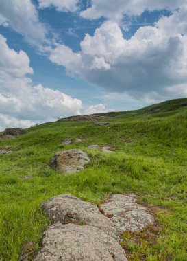 Güney Böcek Nehri 'nin kayalık kıyısı. Güneşli bir günde mavi gökyüzüne karşı yeşil çimenler ve kırmızı taşlar. Ukrayna