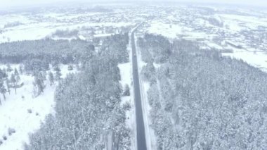 kışın karlı çam ormanı içinde dar asfalt yol üzerinde bir dron üzerinde uçuş