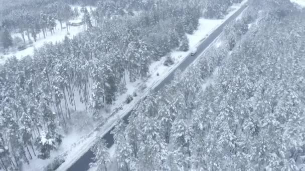Flug Mit Einer Drohne Über Eine Schmale Asphaltstraße Schneebedeckten Kiefernwald — Stockvideo