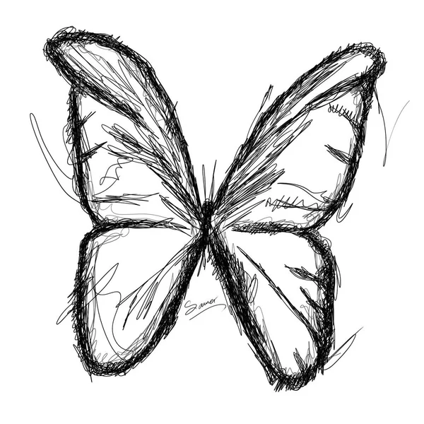 Isolierte Skizzenlinien Mit Schwarz Weißen Farben Schmetterling — Stockfoto