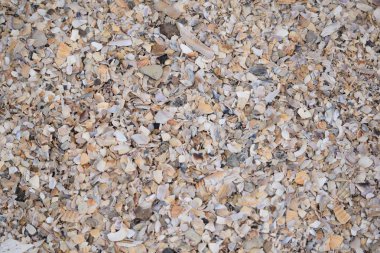 doku, taş, kum, desen, plaj, Soyut, rock