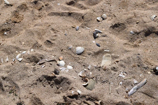 Άμμο Παραλία Φύση Υφή Πέτρα Αφηρημένο Μοτίβο Θάλασσα Χώμα Έδαφος — Φωτογραφία Αρχείου