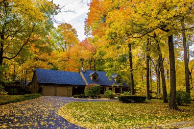 Sonbahar renkleri - atış Rockford, Il