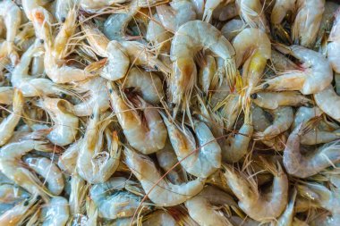 Pazar ekranında taze karides.