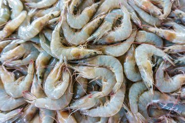 Pazar ekranında taze karides.