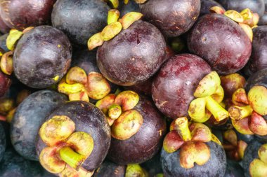 Taze Mangosten, tropikal meyve.