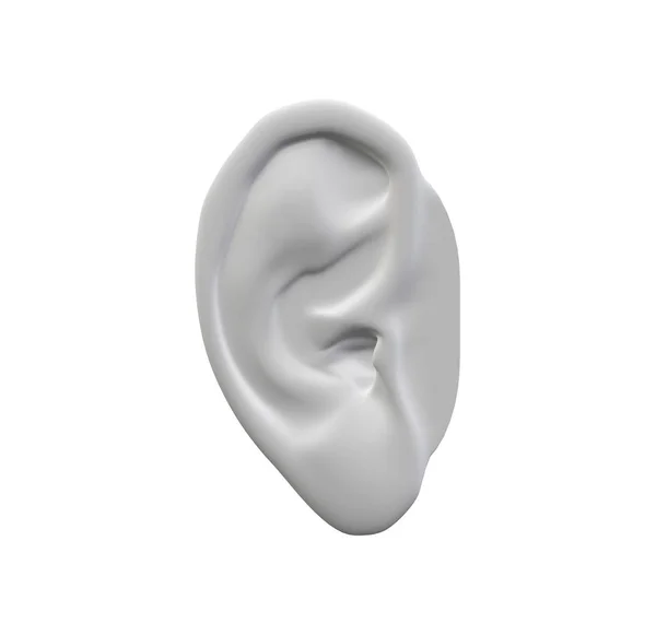 Human Ear Isolated White — Stock Photo, Image