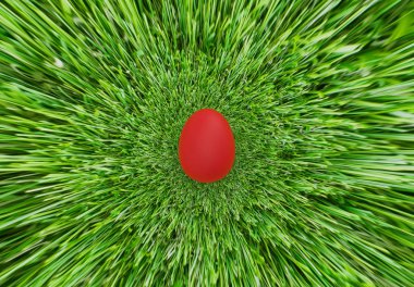 Yeşil Çimde Kırmızı Yumurta