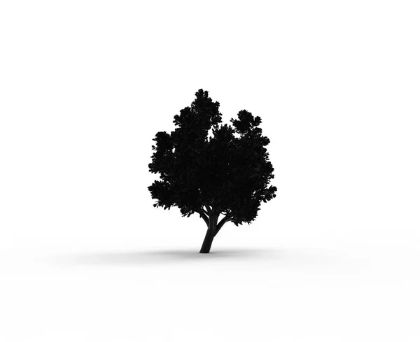 Tree Silhouette Isolated White Shadow — Stock Photo, Image