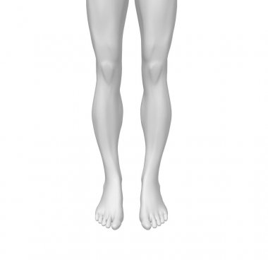 İnsan 3d Rendering Bacaklar beyaz izole