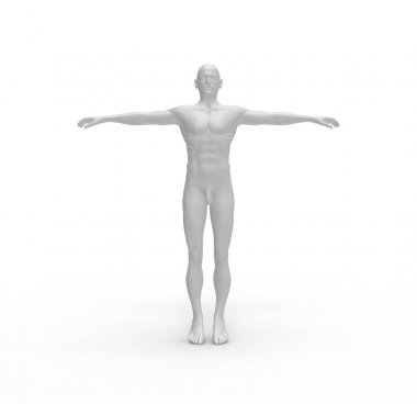 İnsan Adam Beyaz Vücut 3d Rendering