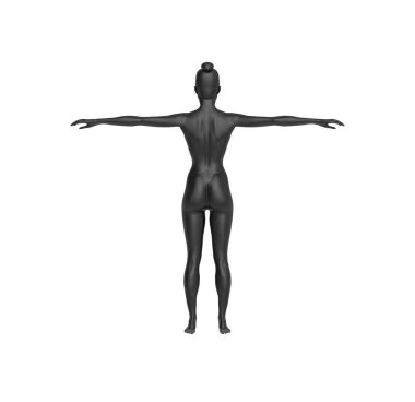 Kadın Çıplak Vücut Görüntü Anatomisi tecrit edildi. 3d Hazırlama
