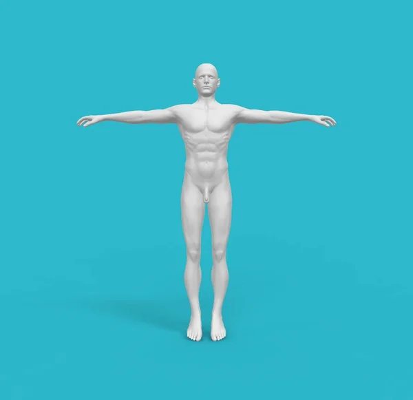Hombre Humano Cuerpo Blanco Representación —  Fotos de Stock