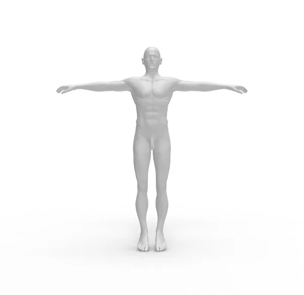 Human Man White Body Rendering — Stock Photo, Image