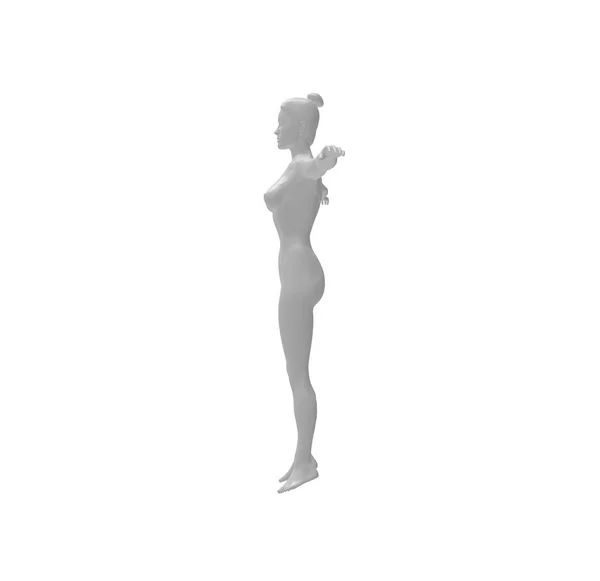 Femme Silhouette Corps Anatomie Sur Isolé Rendu — Photo