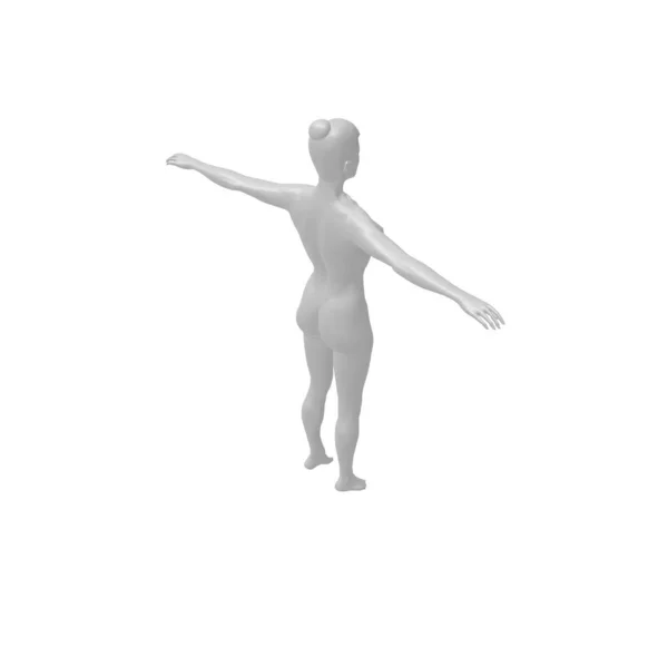 Mulher Nua Corpo Silhueta Anatomia Isolado Renderização — Fotografia de Stock