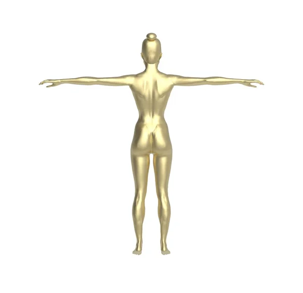 Kvinne Naken Kropp Silhuett Anatomi Isolert Gjengivelse – stockfoto