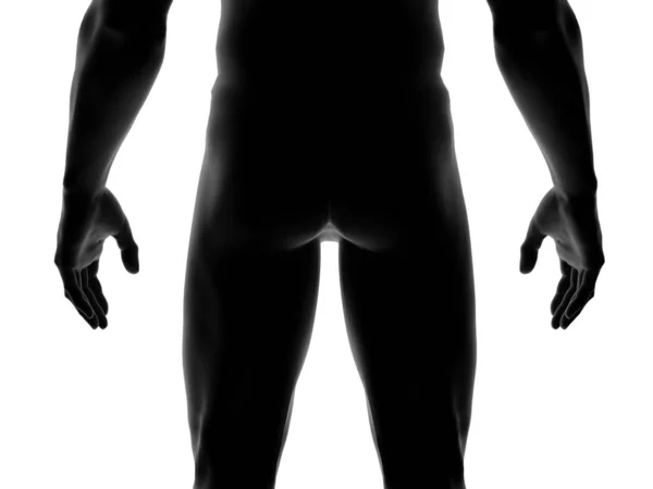 Corpo Homem Humano Fechar Isolado Branco Rendering — Fotografia de Stock