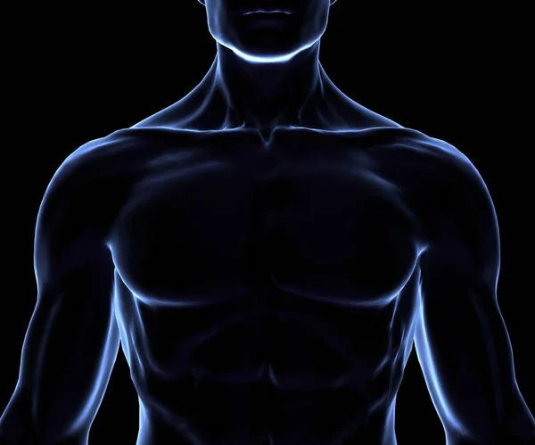 Corpo Negro Humano Isolado Rendering — Fotografia de Stock