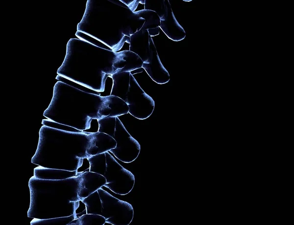 Скелет Человеческого Позвоночника Черной Рендеринге — стоковое фото