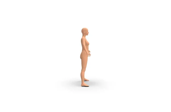 女性身体部分3D渲染 — 图库照片