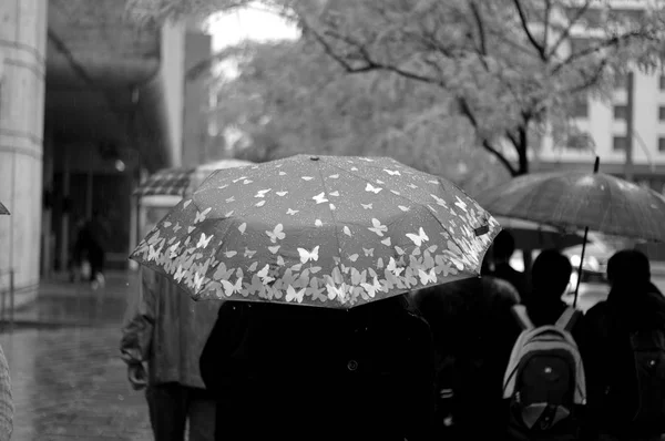 Umbrella Rainy Day Montreal Canada — Stock Photo, Image