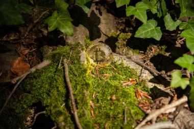 Bit sikke moss ve doğa ile yeşil yapraklar