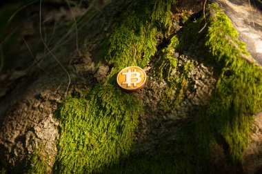 Bit sikke moss ve doğa ile yeşil yapraklar