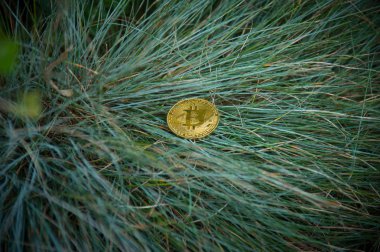 Bit sikke yeşil arka planda