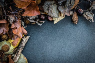 Sonbahar ile yapraklar ve diğer köşede boş merkezi ile nesneleri için yapraklar