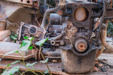 Eski paslı motor ve araba parçaları ile bir yeşil bitki