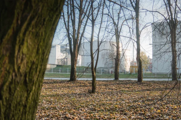 Fabrika park thru sonbaharda düşük çekim karmaşık