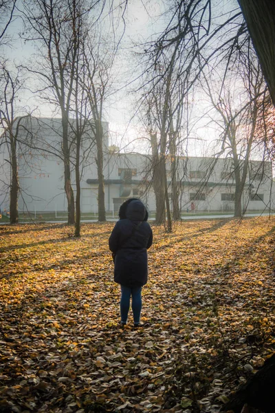 Ősz Parkban Feltárása Kékruhás Lány Stock Kép