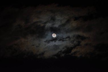 Ağaç dalı ile geceleri ay