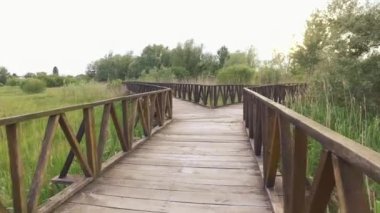 Rota, doğada yol, bataklık, ahşap tahtalar ve yeşil ortamdan yapılmış.