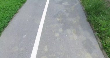 Asfalt üzerinde işaretler ile yayalar ve bisikletçiler için yol.