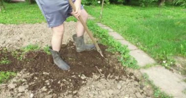 Doğal gıda özel bir kaynağı için küçük bir bahçede arazi kazma. Toprak önceden karıştırılmış kompost ile hazırlanır.