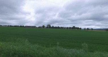 Arka planda bir çiftlik ve karanlık gökyüzü ile tahıl alanları yanında arabada Sürüş.