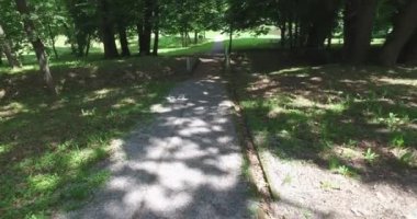 Yeşilliklerle çevrili gölge ve güneşte yaz boyunca parkta bir yürüyüş.