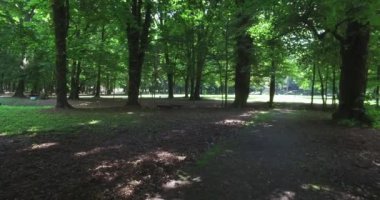 Yeşilliklerle çevrili gölge ve güneşte yaz boyunca parkta bir yürüyüş.