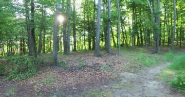 Sabahparkta yürürken, güneş ışığı gölgelik geçer.