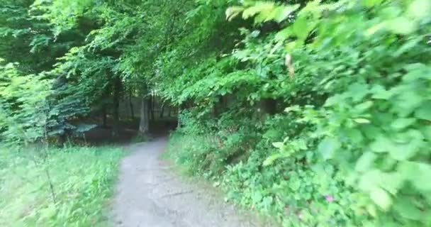 Une promenade matinale saine à travers le parc le long du chemin de terre .