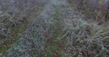 Buz ve çalılarla kaplı küçük soğuk bir tepe ve küçük bir patika..