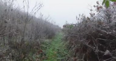 Buz ve çalılarla kaplı küçük soğuk bir tepe ve küçük bir patika..