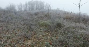 Buz ve çalılarla kaplı küçük, soğuk bir tepe..