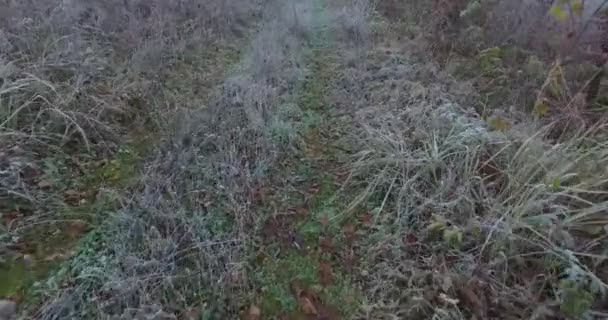 霜や茂みや小さな道で覆われた小さな冷たい丘 — ストック動画