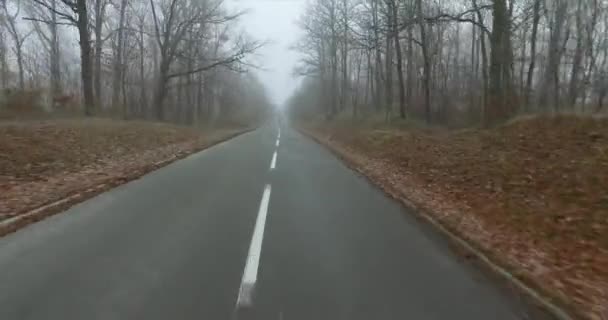 Rijden Langs Een Kronkelende Weg Herfst Winter Omgeven Door Een — Stockvideo